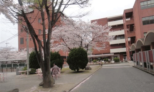 日本九州大学