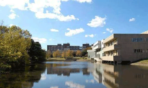 日本女子美术大学