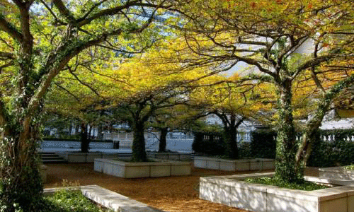  芝加哥艺术学院