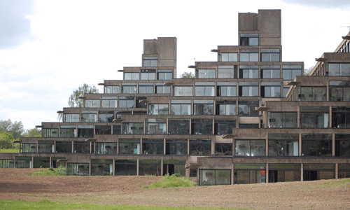 英国东安格利亚大学