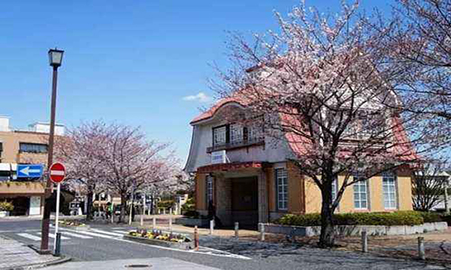 日本东京造型大学