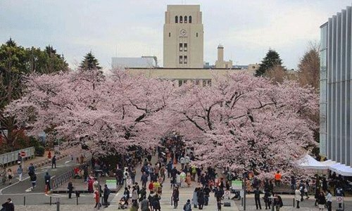 日本大学