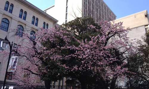 日本东京家政大学