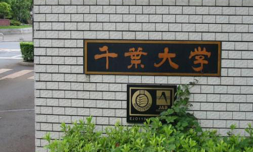 千叶大学