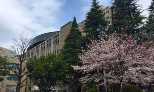 青山学院大学留学