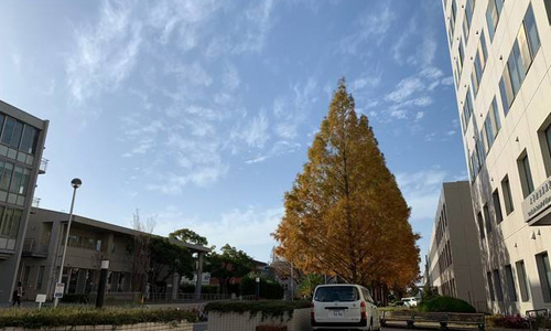 名古屋艺术大学申请条件