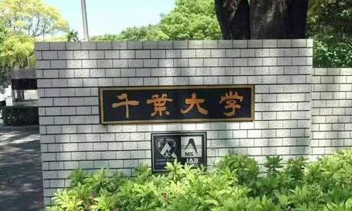 千叶大学学费